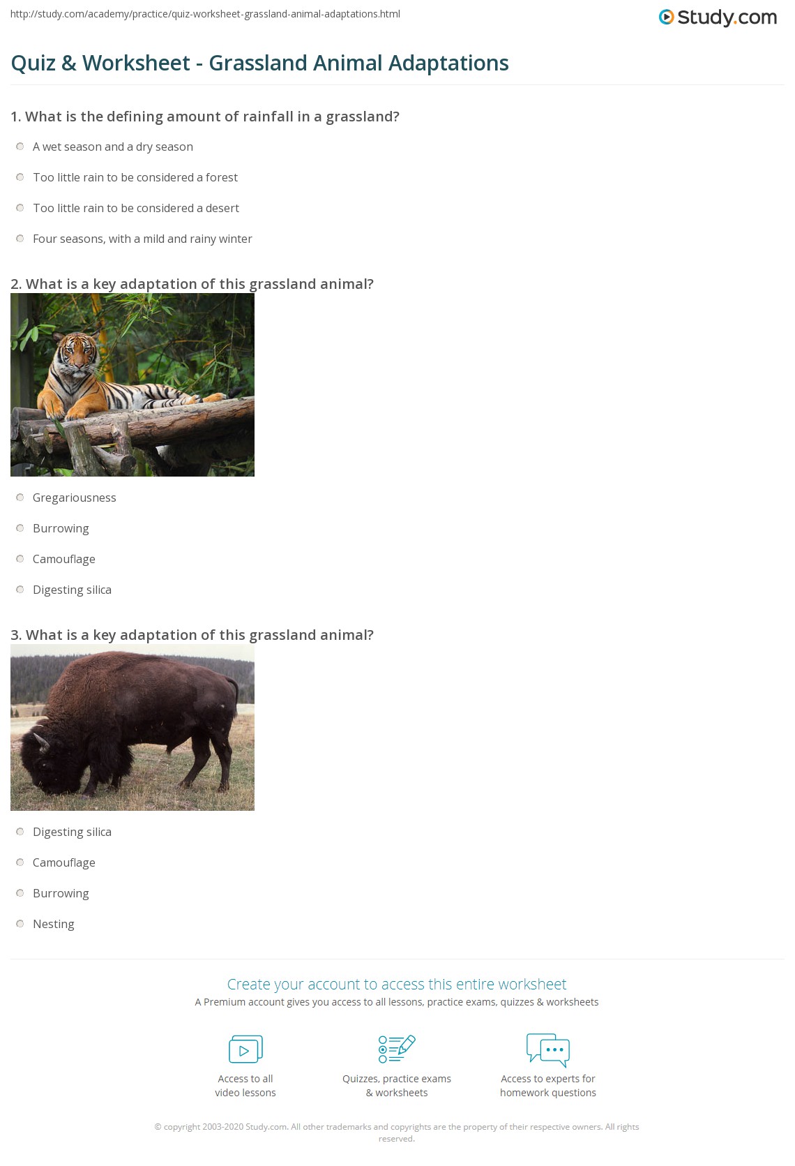 80 Adaptations In Animals Worksheets 41