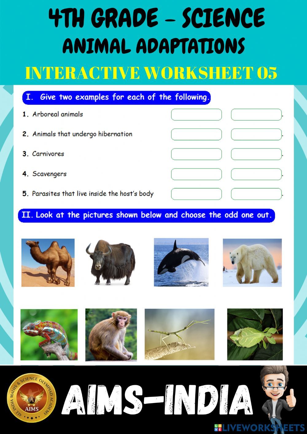 80 Adaptations In Animals Worksheets 48