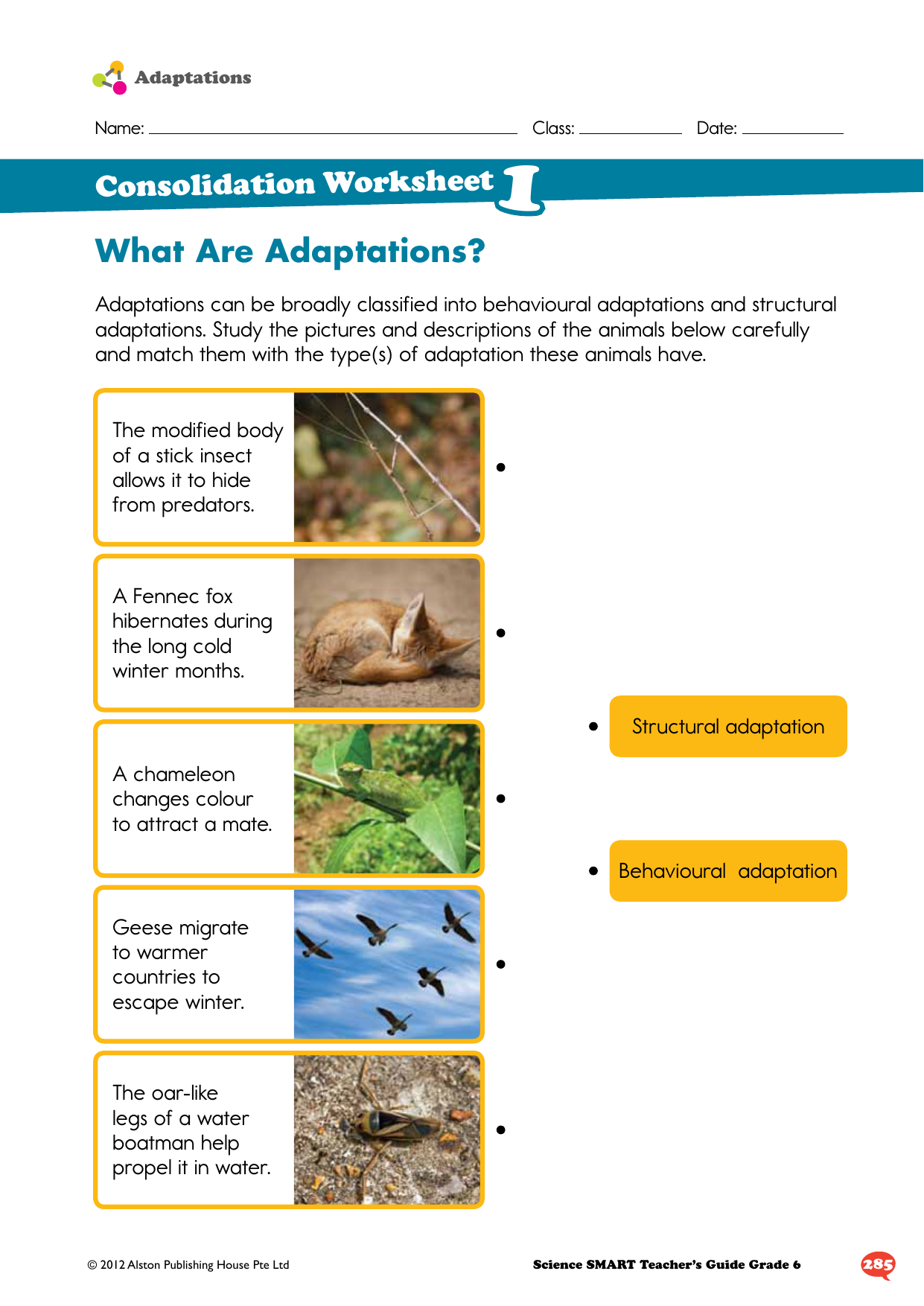 80 Adaptations In Animals Worksheets 51