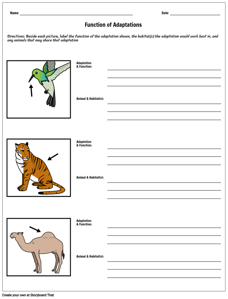 80 Adaptations In Animals Worksheets 56