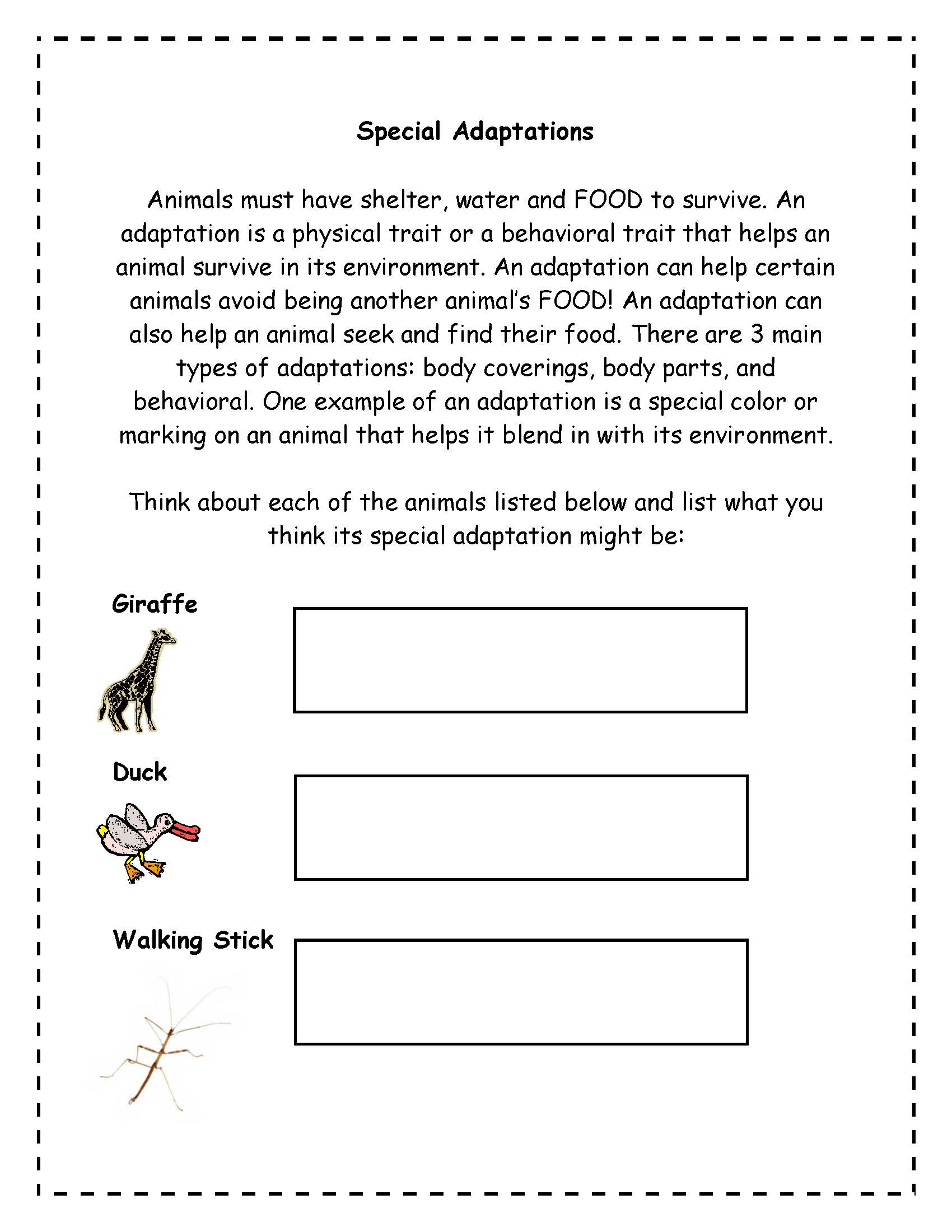 80 Adaptations In Animals Worksheets 59