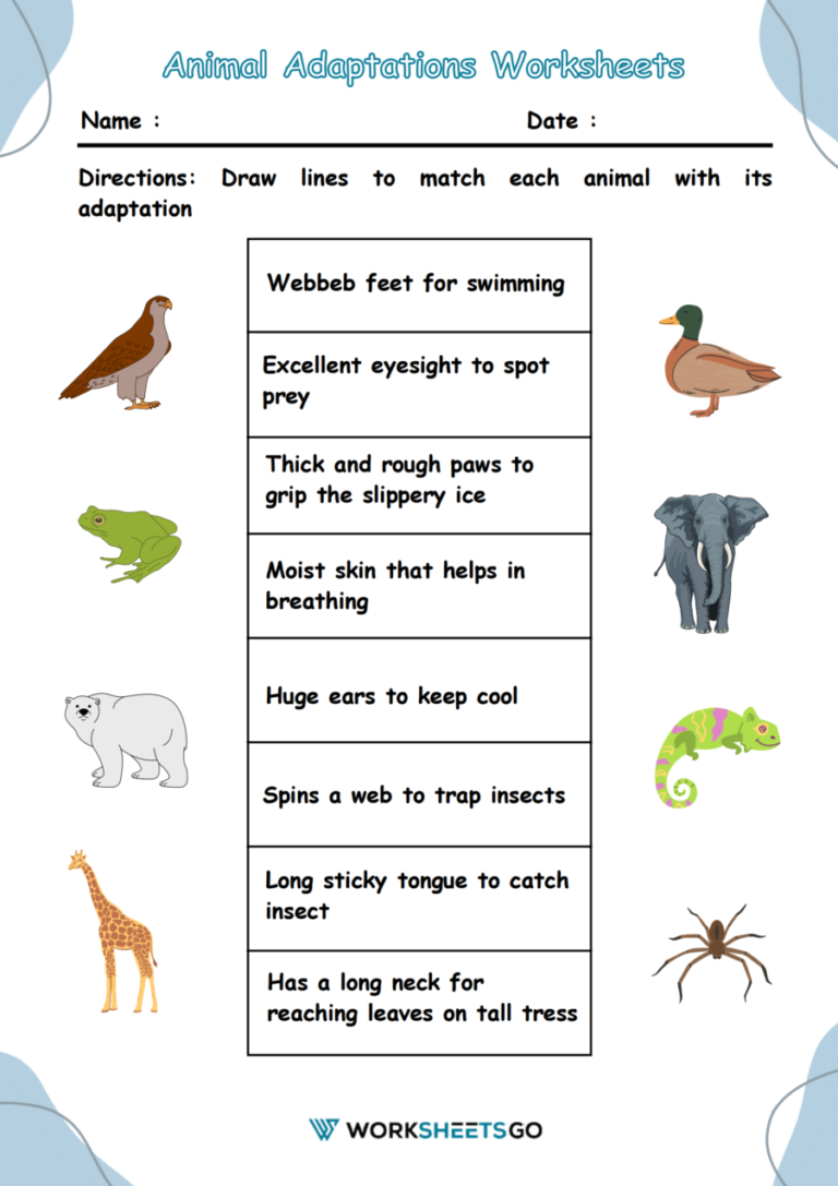 80 Adaptations In Animals Worksheets 78