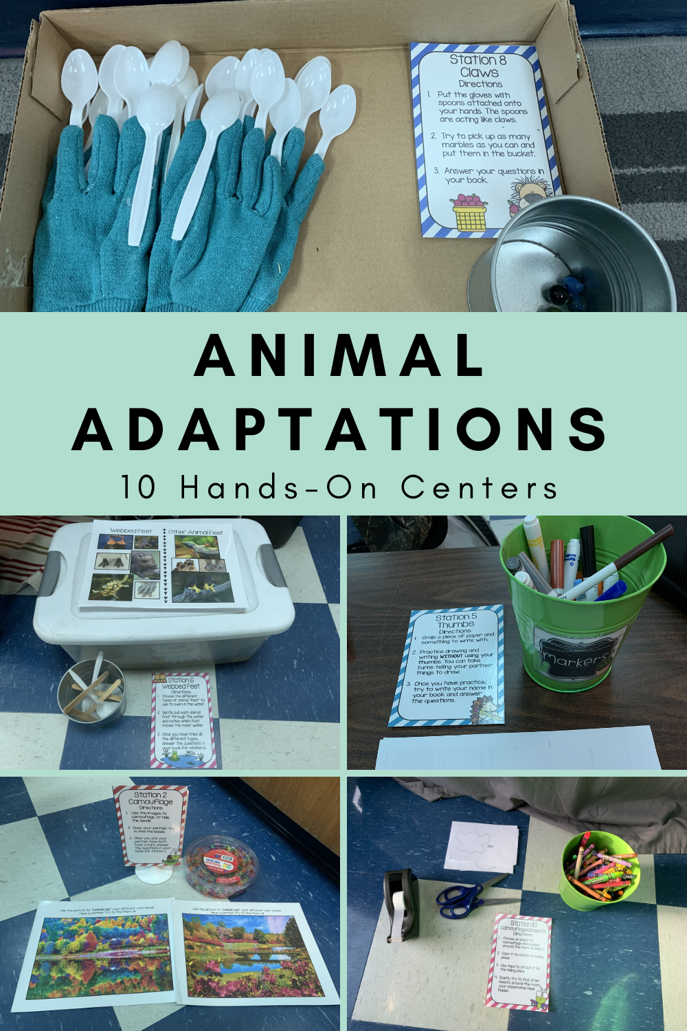 80 Adaptations In Animals Worksheets 79