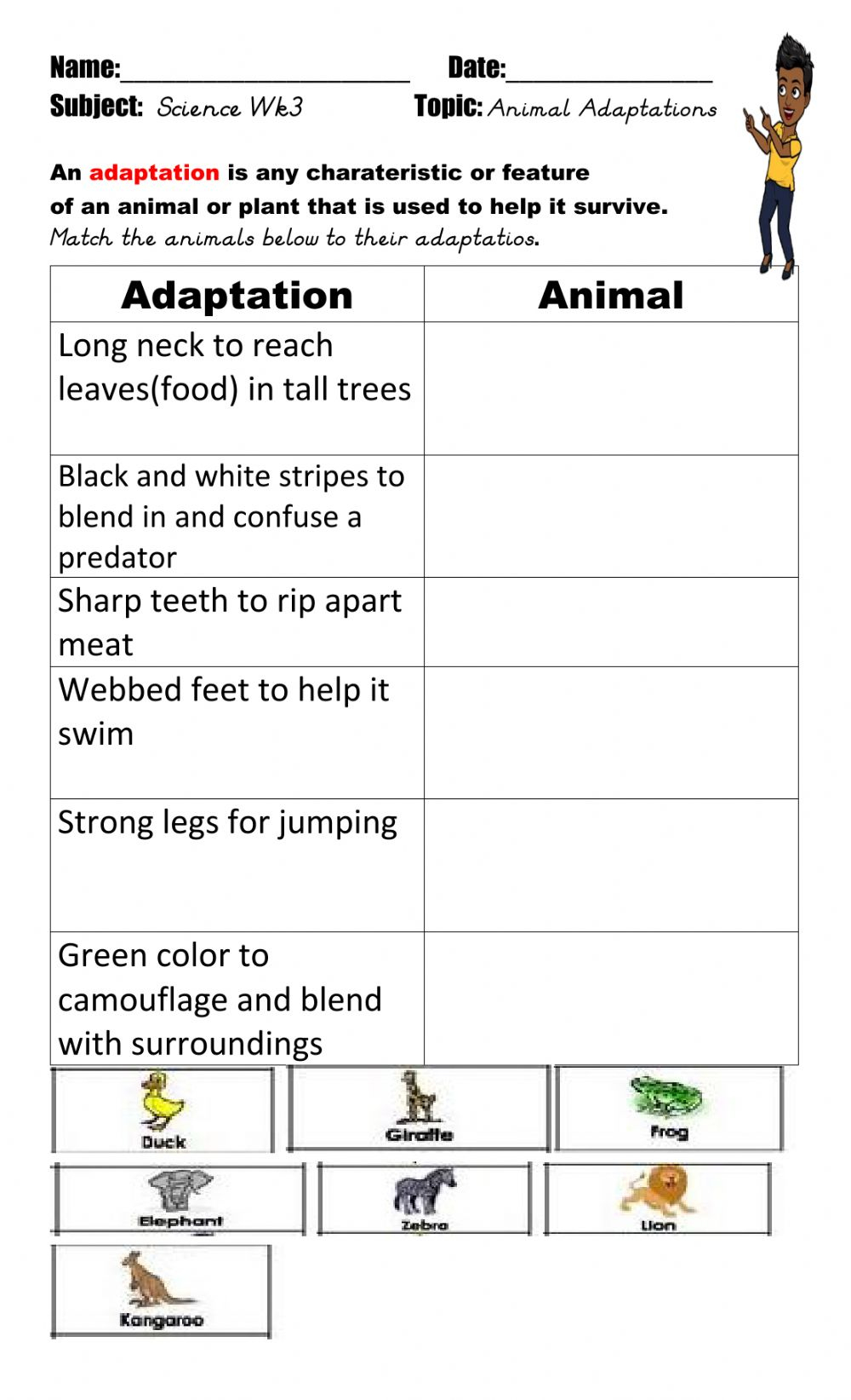 80 Adaptations In Animals Worksheets 81