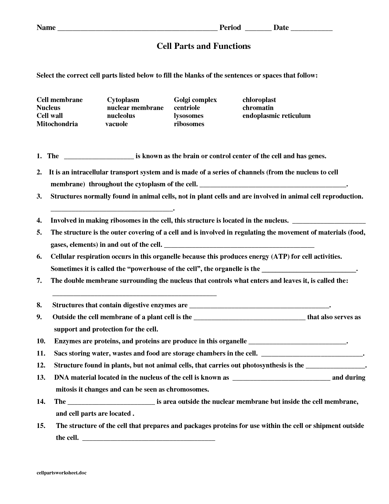 80 Printable Superstar Worksheets Plant Cell 10