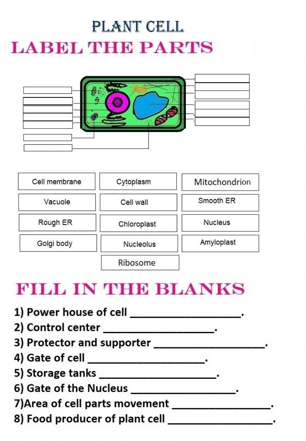 80 Printable Superstar Worksheets Plant Cell 24