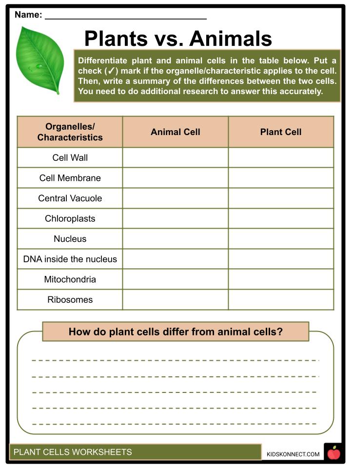 80 Printable Superstar Worksheets Plant Cell 26