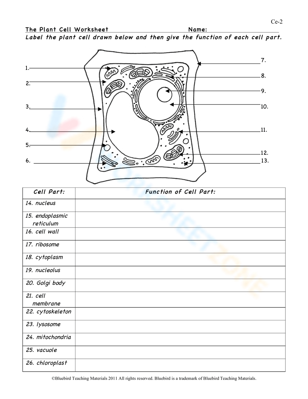 80 Printable Superstar Worksheets Plant Cell 27