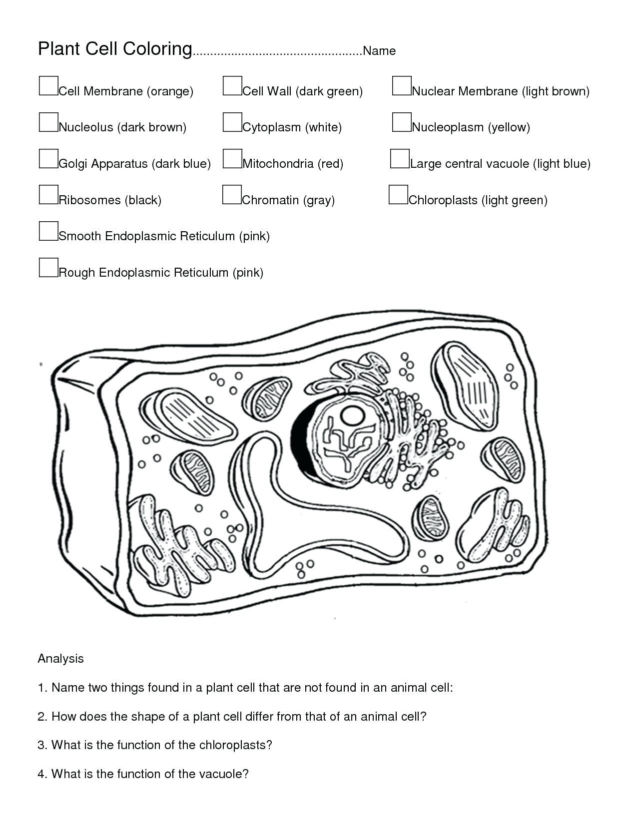 80 Printable Superstar Worksheets Plant Cell 29