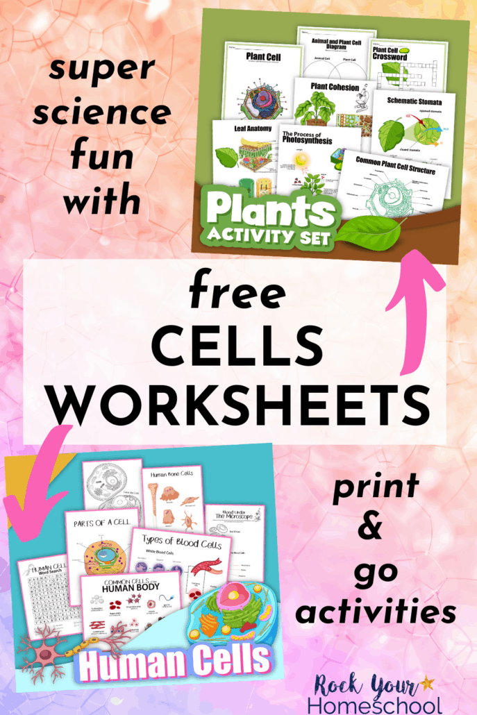 80 Printable Superstar Worksheets Plant Cell 31