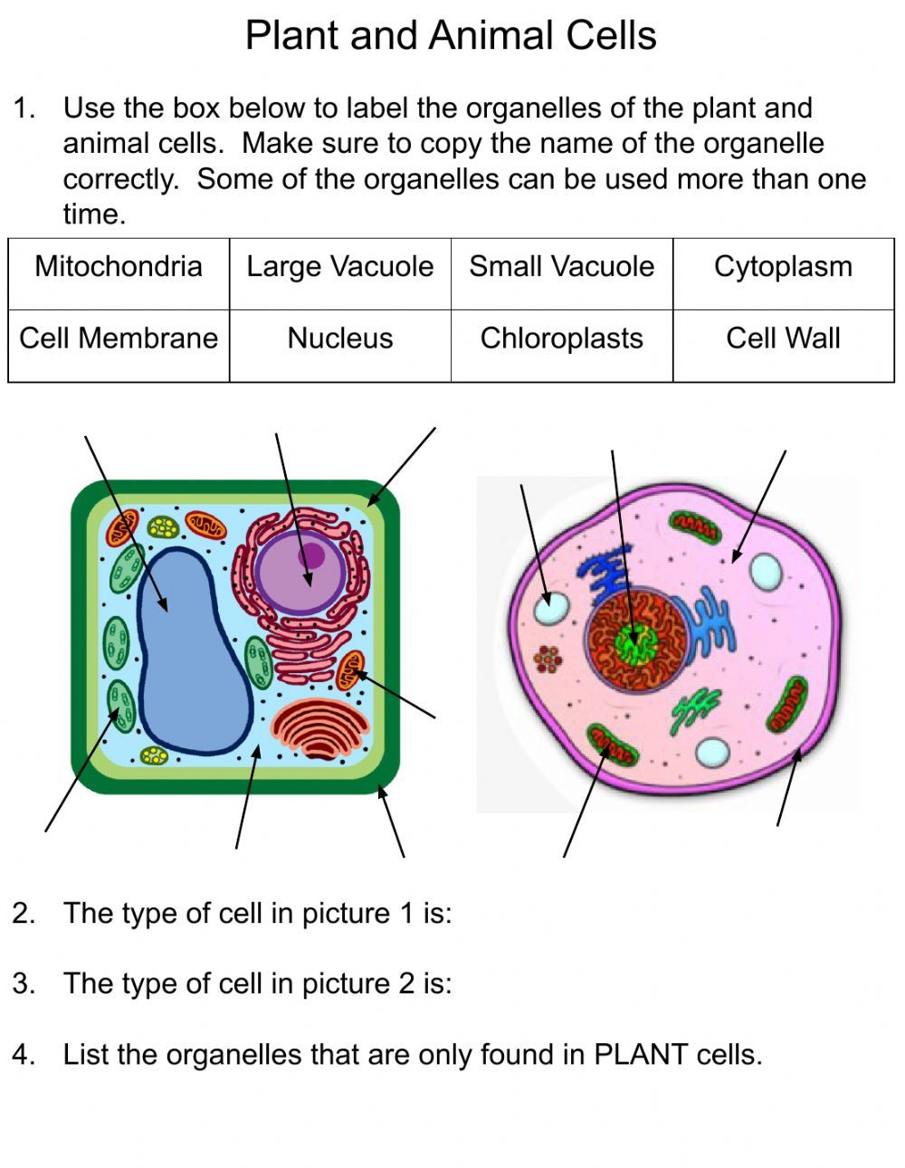 80 Printable Superstar Worksheets Plant Cell 35