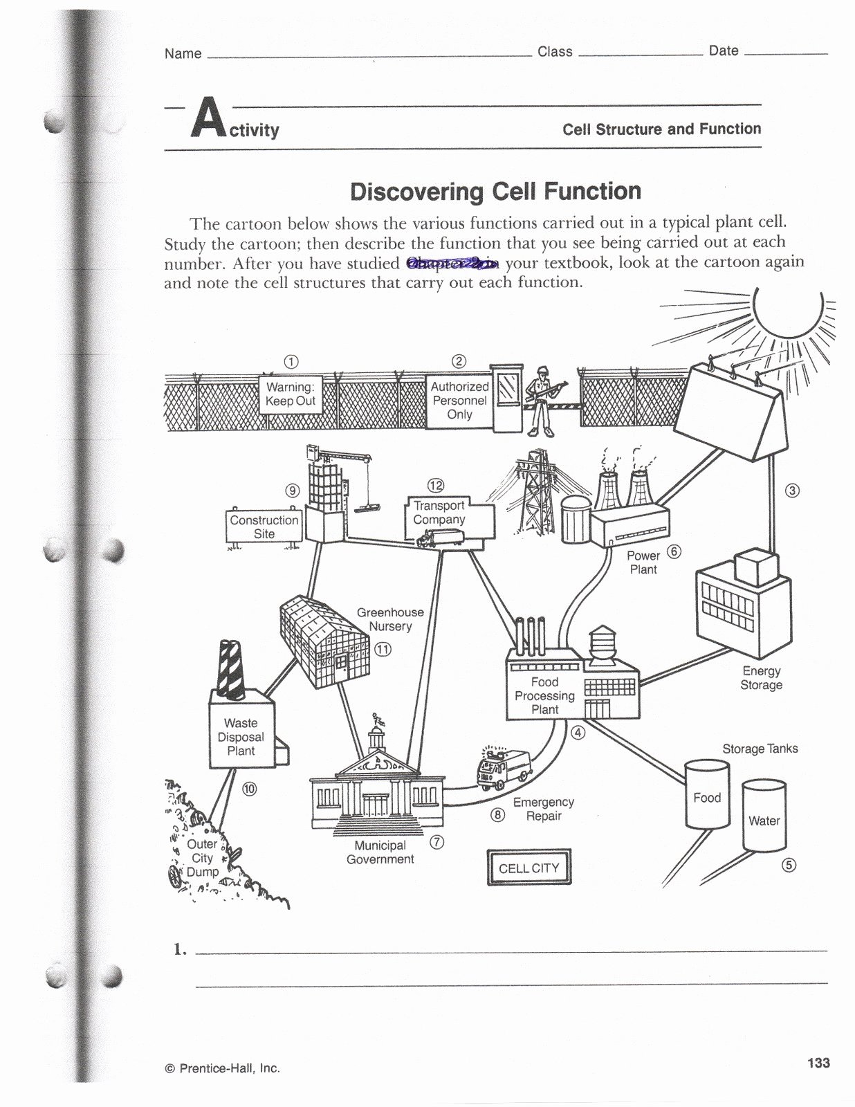 80 Printable Superstar Worksheets Plant Cell 44