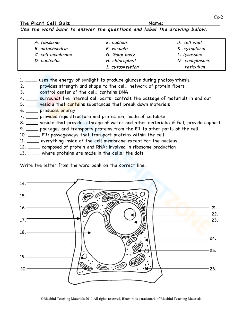 80 Printable Superstar Worksheets Plant Cell 50