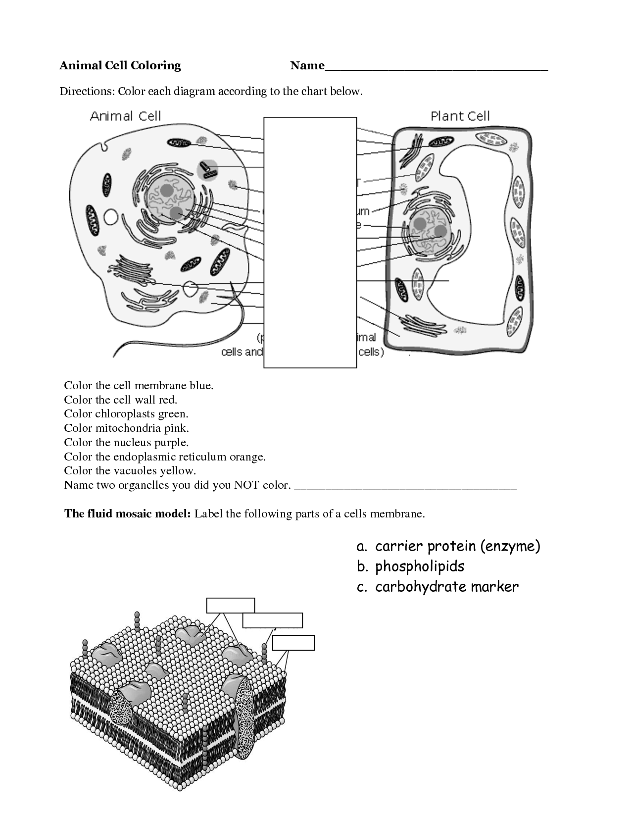 80 Printable Superstar Worksheets Plant Cell 54