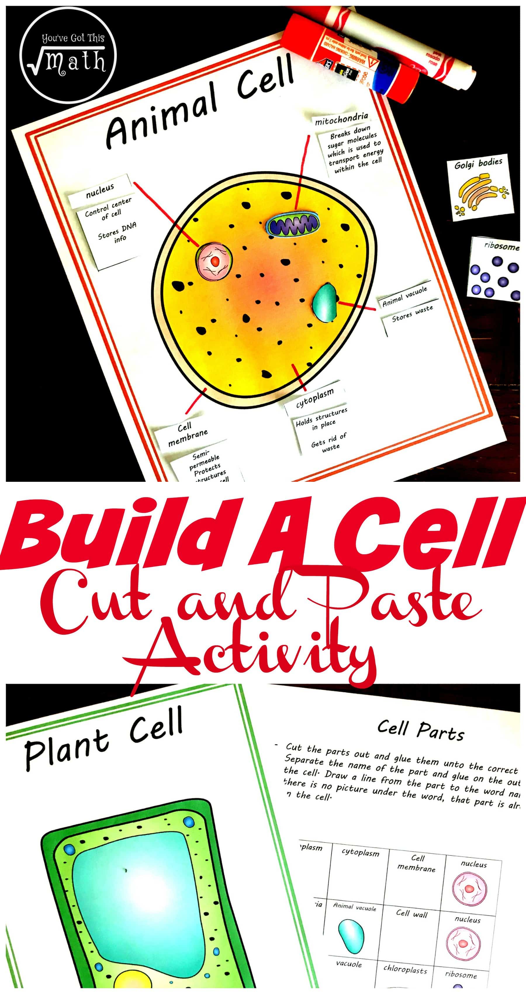 80 Printable Superstar Worksheets Plant Cell 6