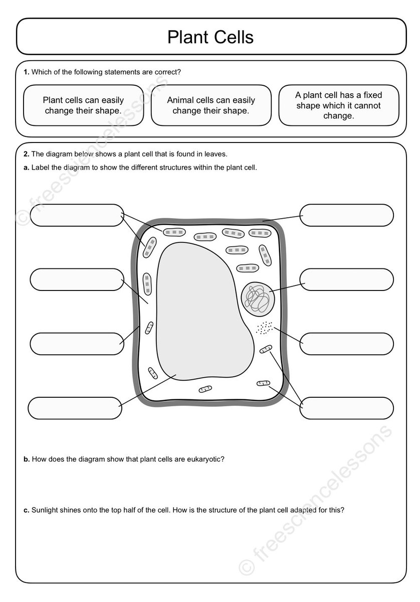 80 Printable Superstar Worksheets Plant Cell 74