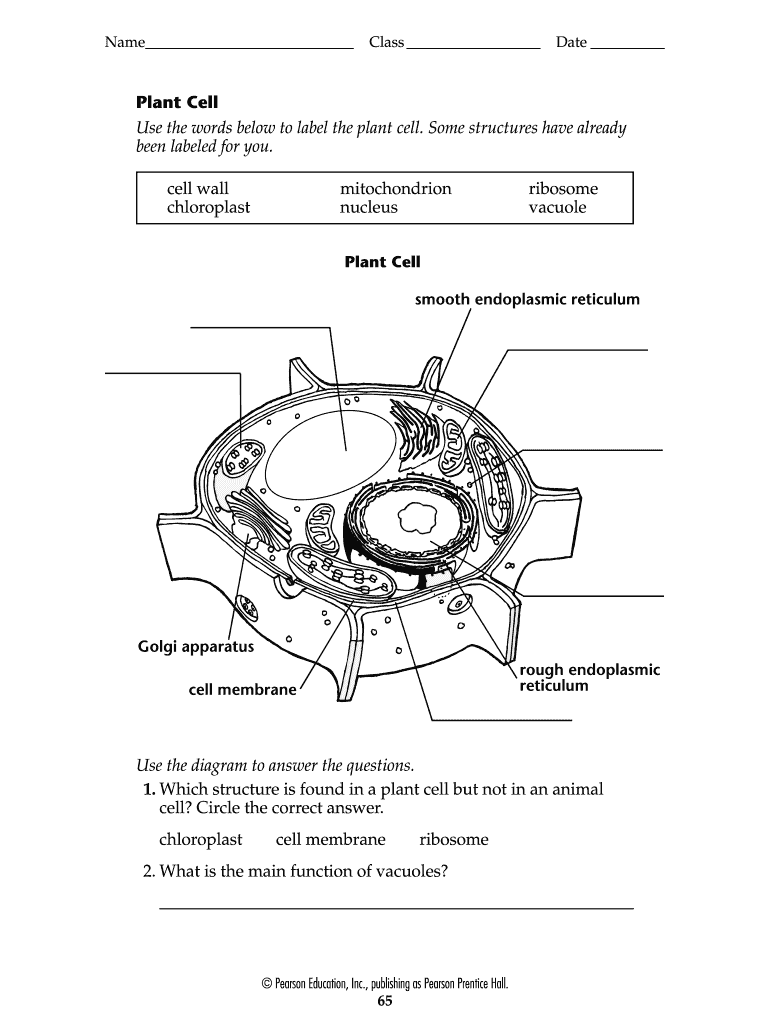 80 Printable Superstar Worksheets Plant Cell 76