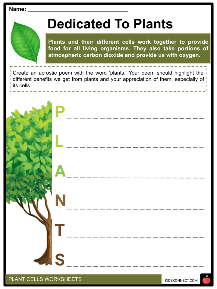 80 Printable Superstar Worksheets Plant Cell 8