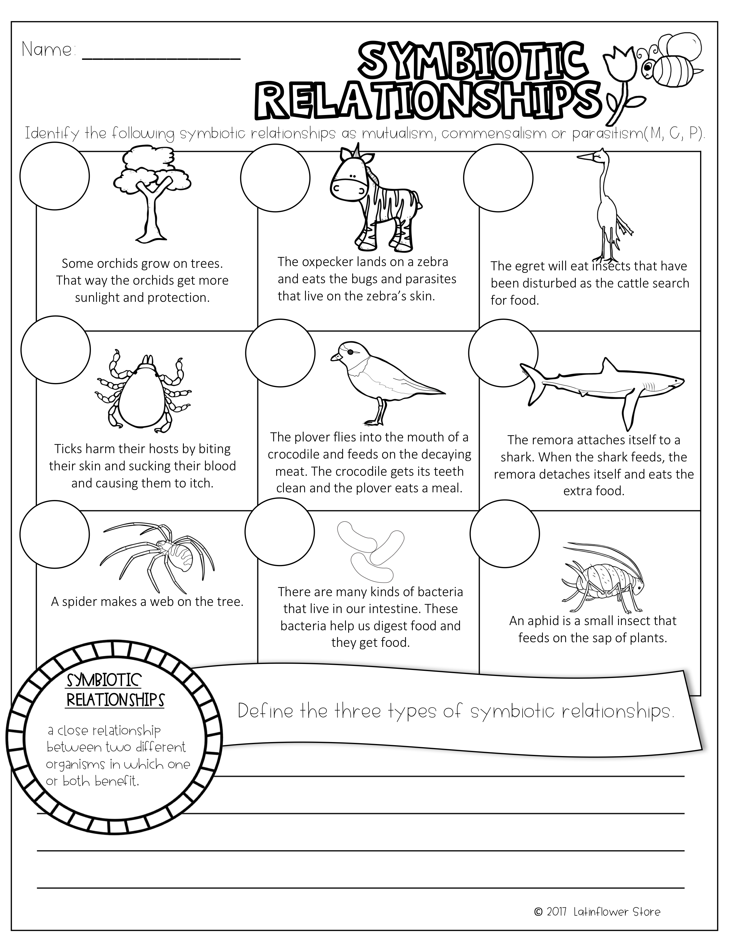 80 Printable Symbiosis Worksheets Answer Key 1