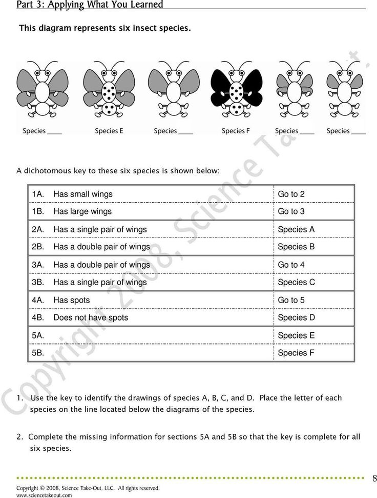 80 Printable Symbiosis Worksheets Answer Key 21