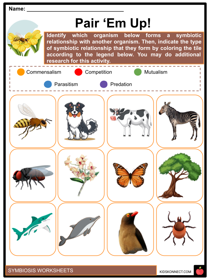 80 Printable Symbiosis Worksheets Answer Key 24