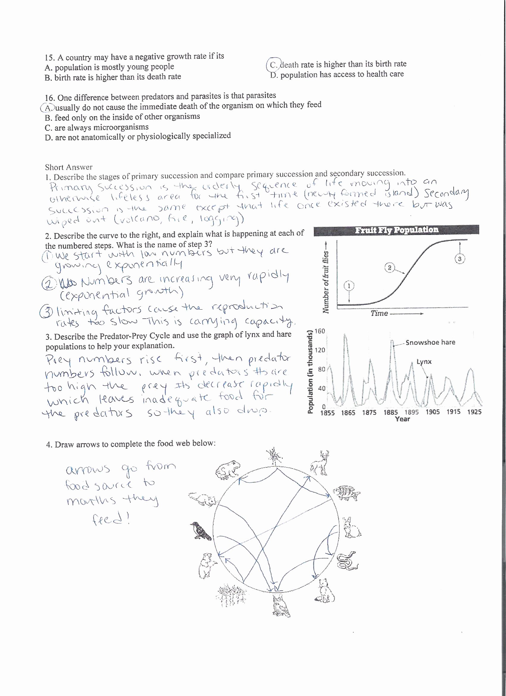 80 Printable Symbiosis Worksheets Answer Key 26