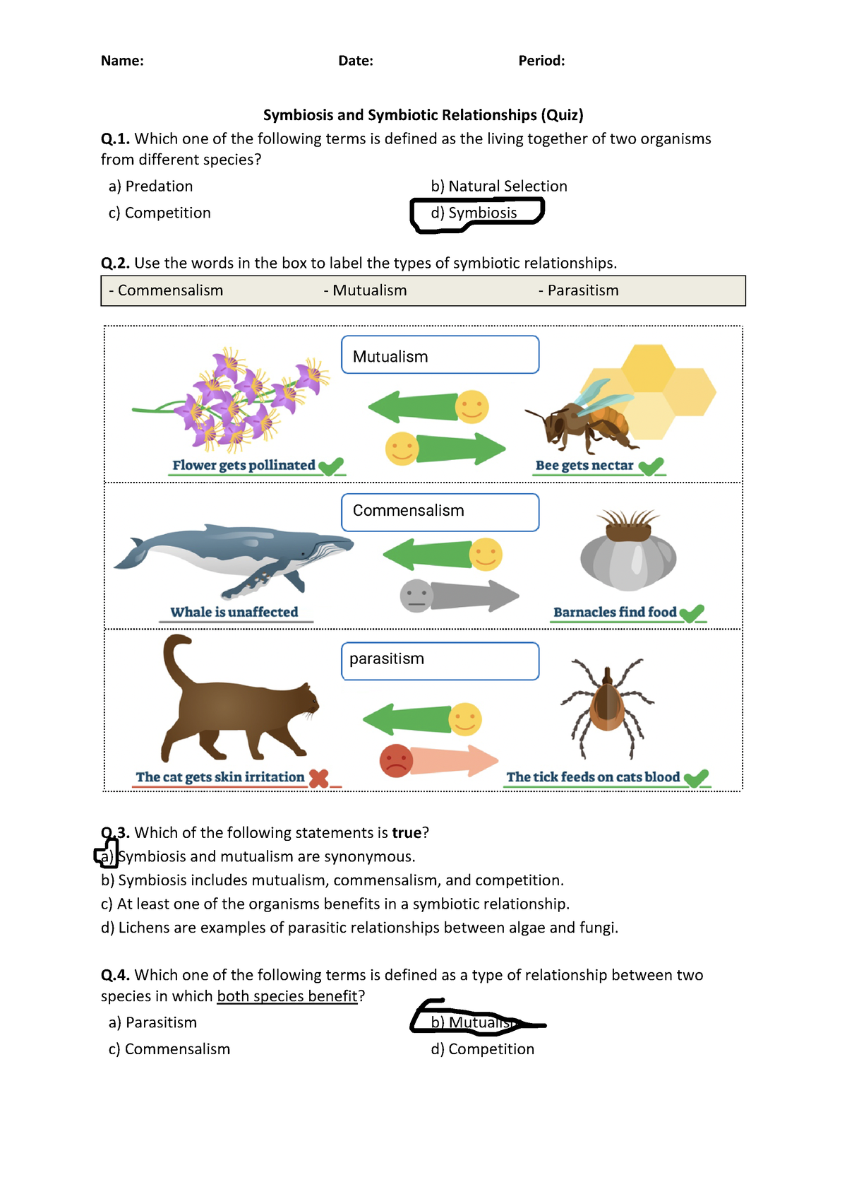 80 Printable Symbiosis Worksheets Answer Key 29