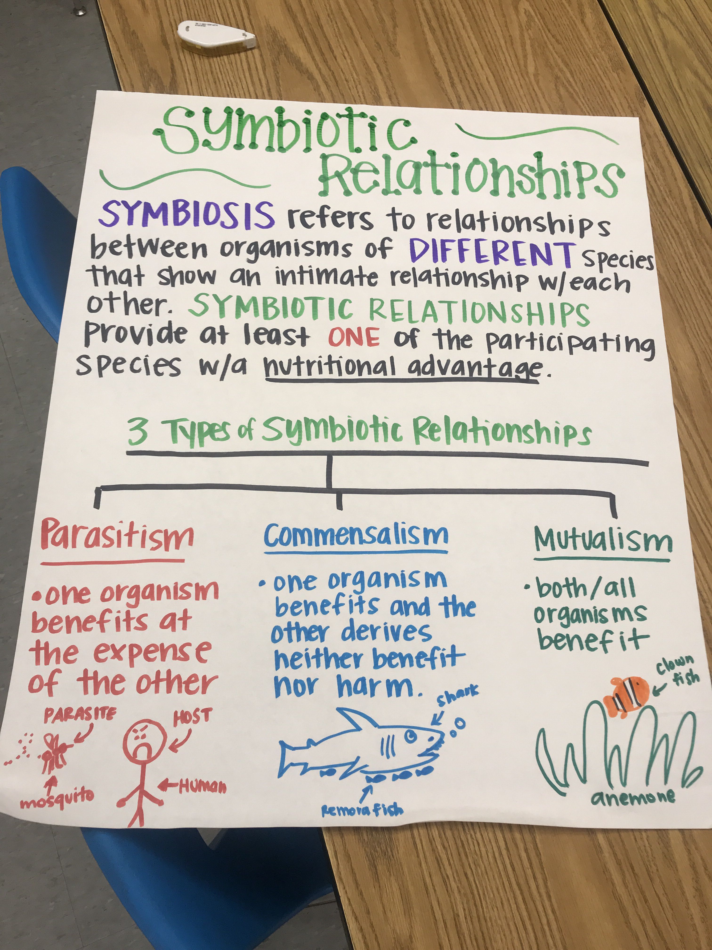 80 Printable Symbiosis Worksheets Answer Key 31