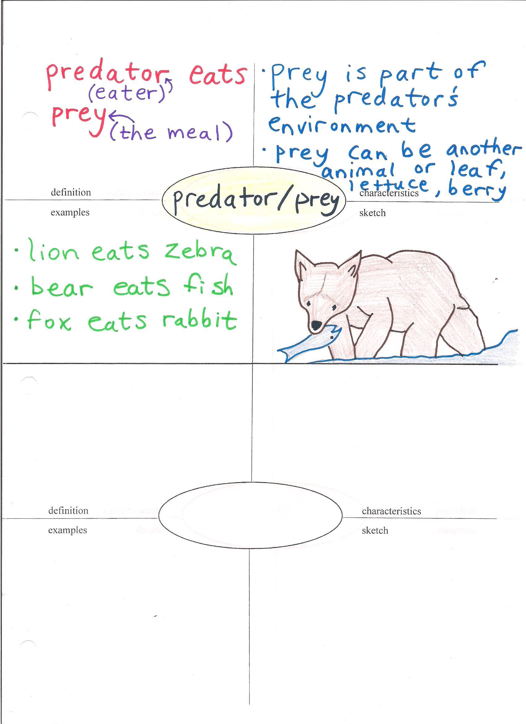 80 Printable Symbiosis Worksheets Answer Key 40