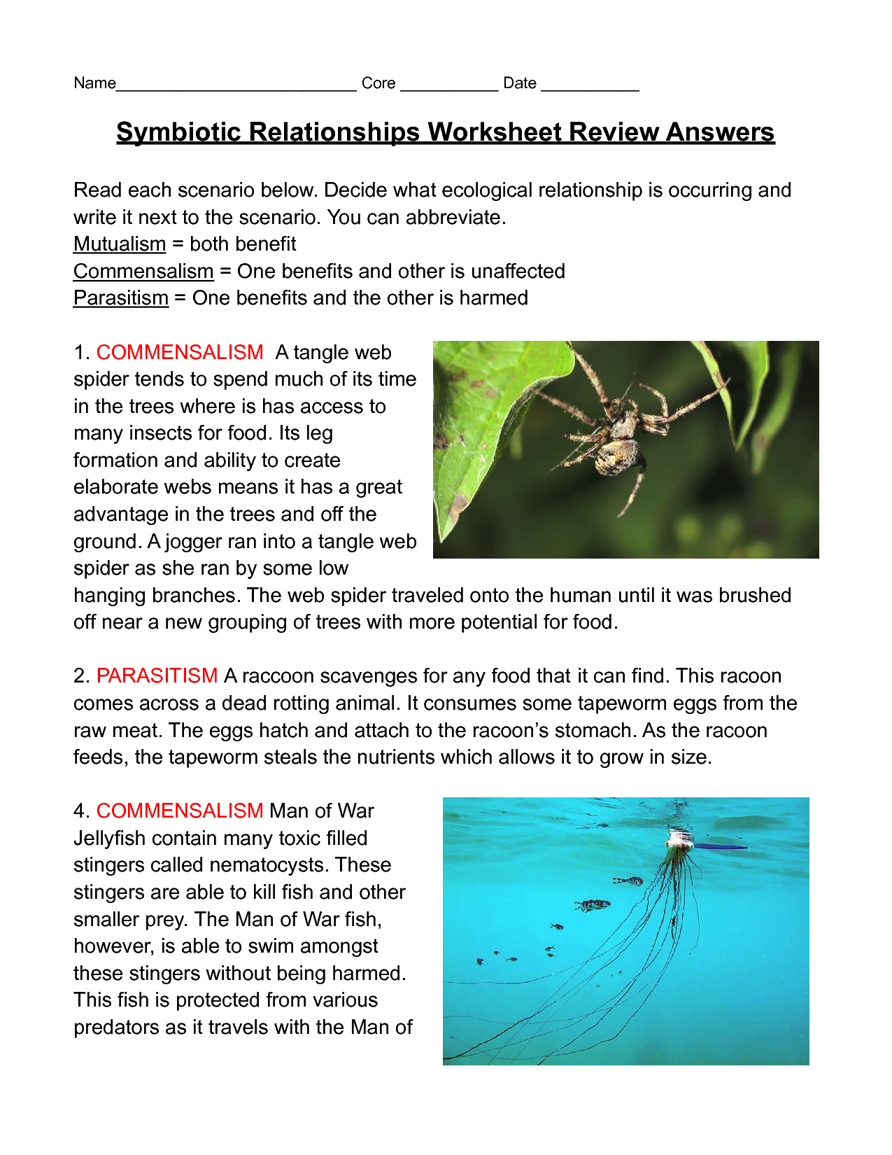 80 Printable Symbiosis Worksheets Answer Key 6