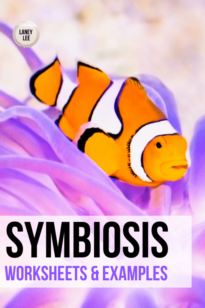 80 Printable Symbiosis Worksheets Answer Key 77