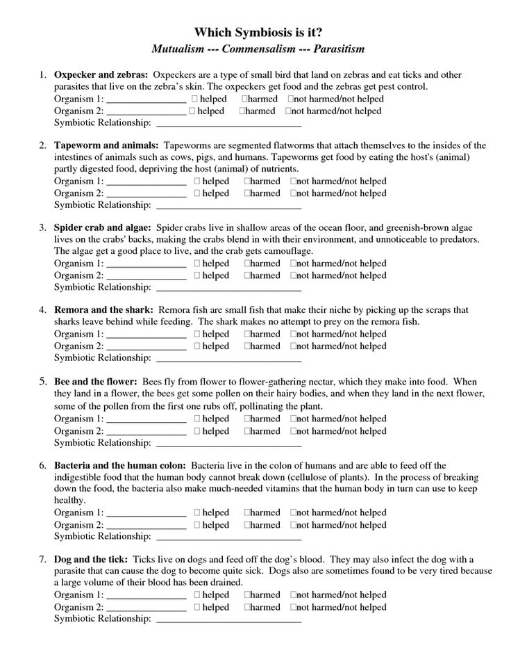 80 Printable Symbiosis Worksheets Answer Key 79