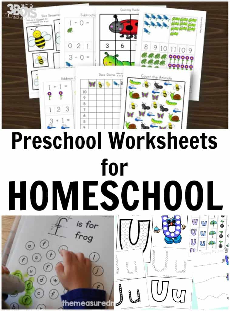 85 Free Homeschool Printable Worksheets 21