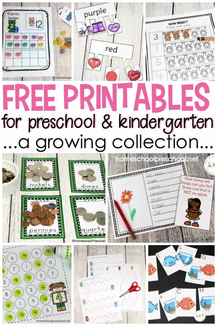 85 Free Homeschool Printable Worksheets 34