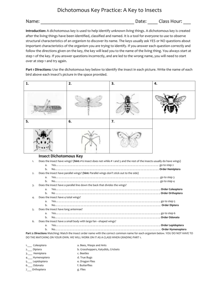 85 Speciation Worksheets Answer Key 12