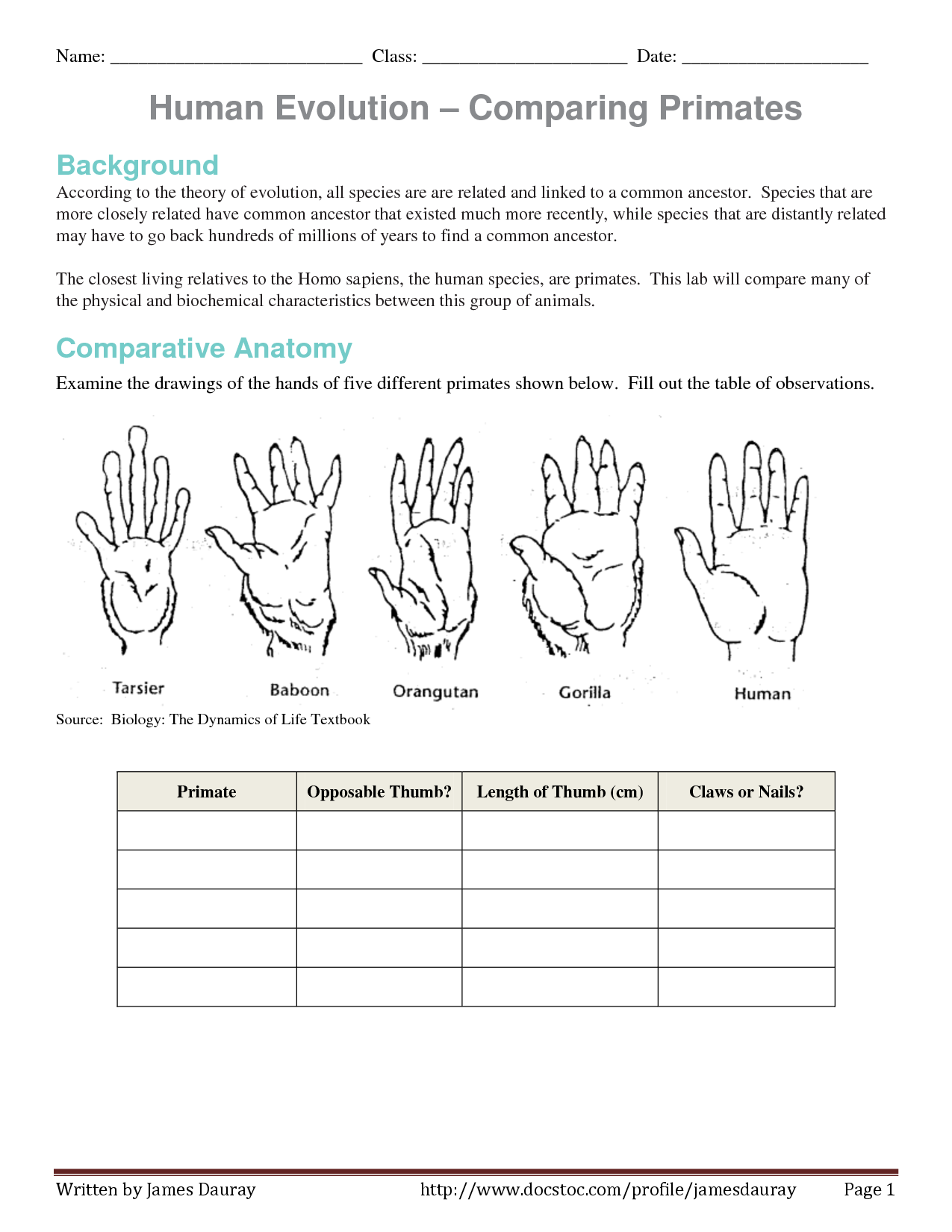 85 Speciation Worksheets Answer Key 14