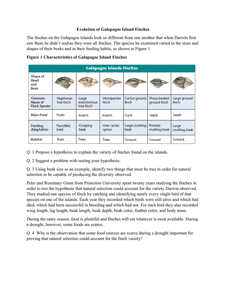 85 Speciation Worksheets Answer Key 2