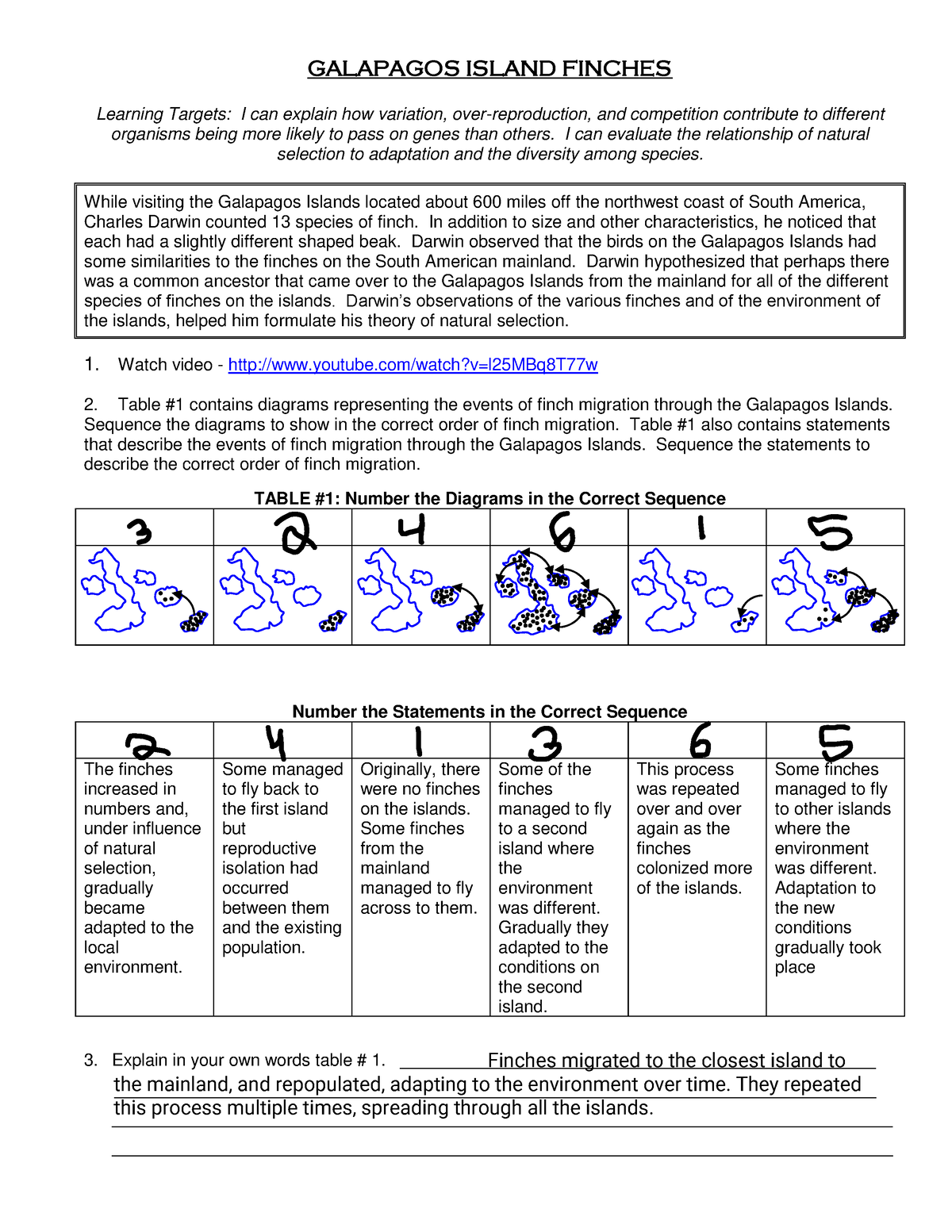 85 Speciation Worksheets Answer Key 28