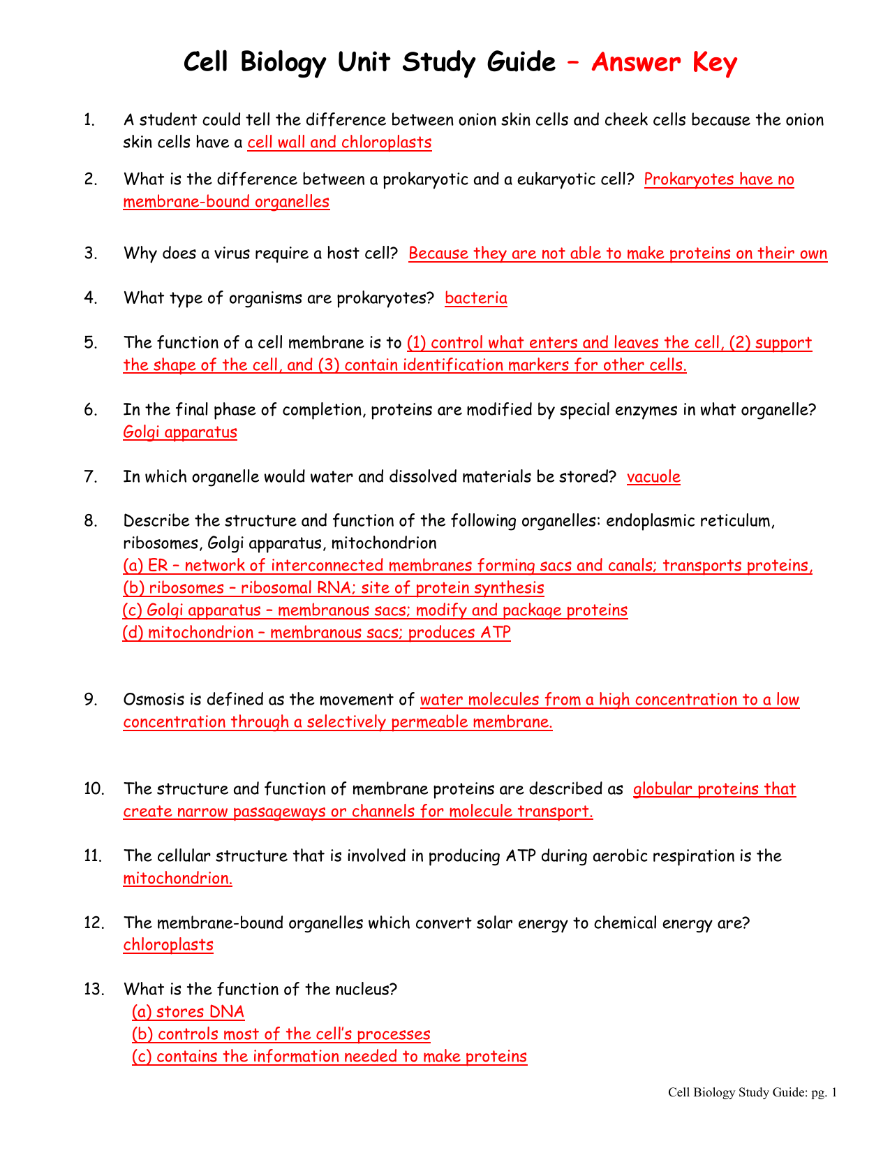 85 Speciation Worksheets Answer Key 29