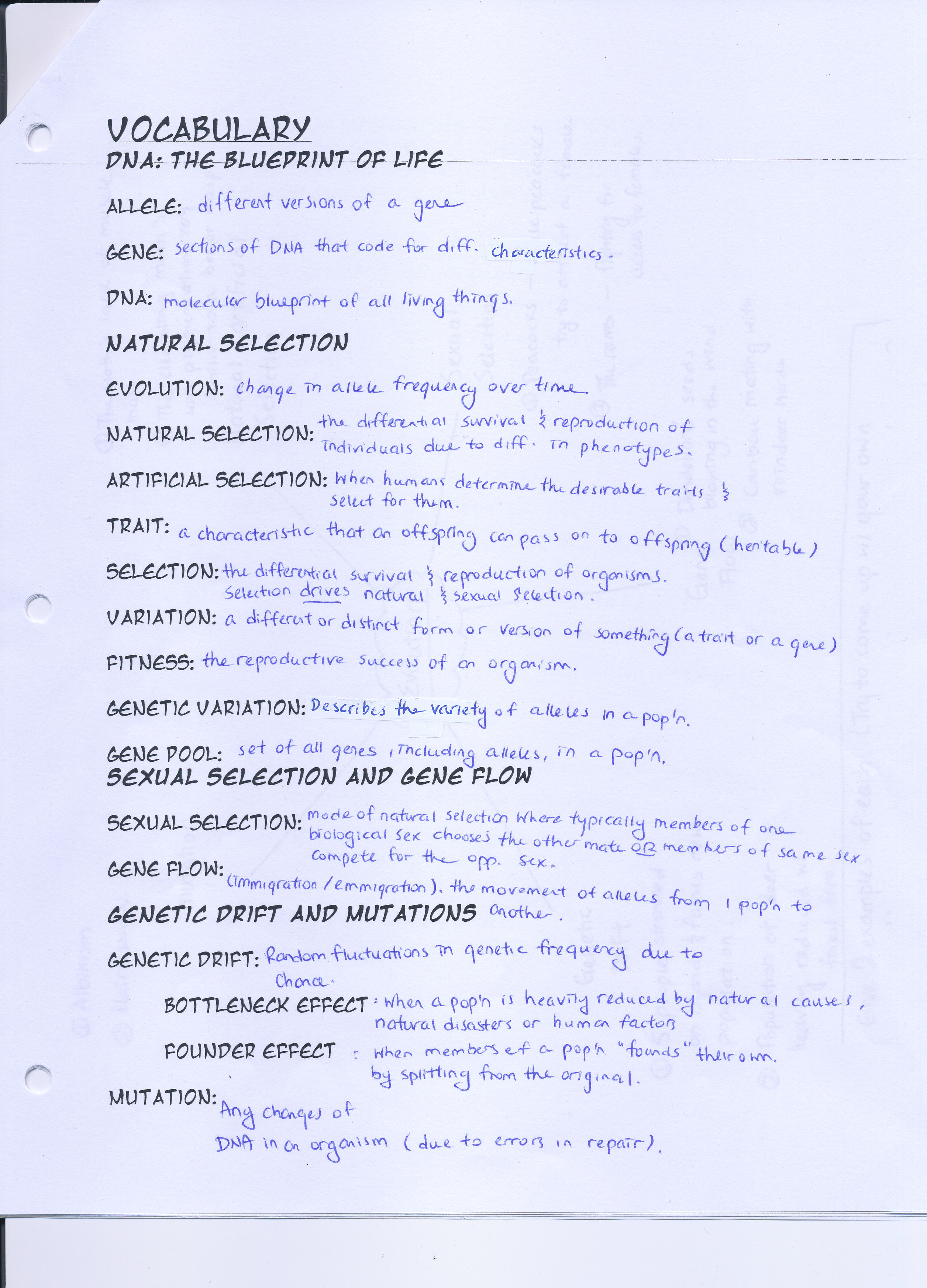 85 Speciation Worksheets Answer Key 31