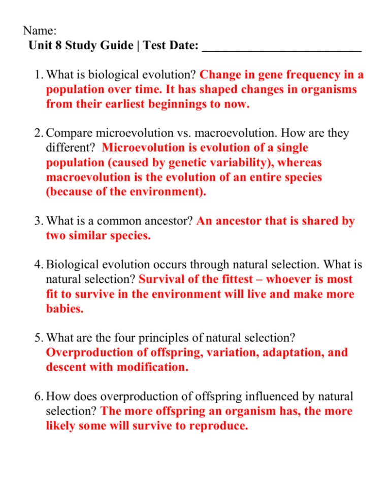 85 Speciation Worksheets Answer Key 32