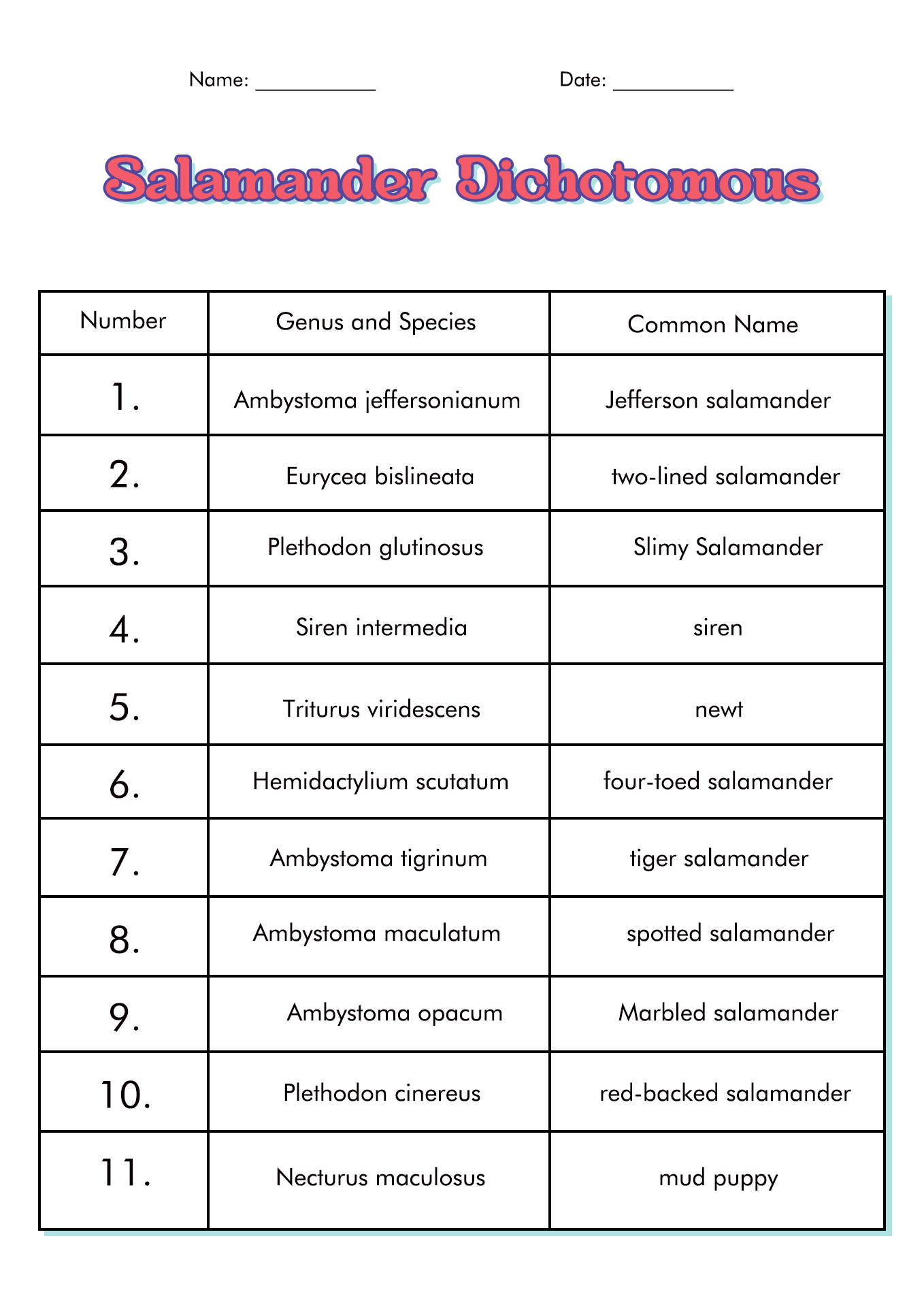 85 Speciation Worksheets Answer Key 33