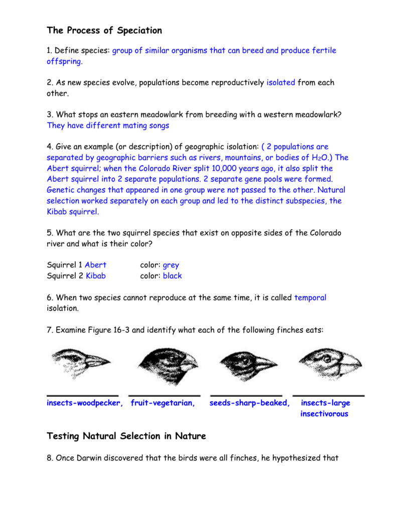 85 Speciation Worksheets Answer Key 36