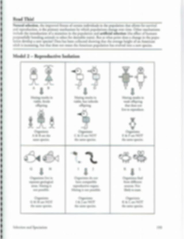 85 Speciation Worksheets Answer Key 4