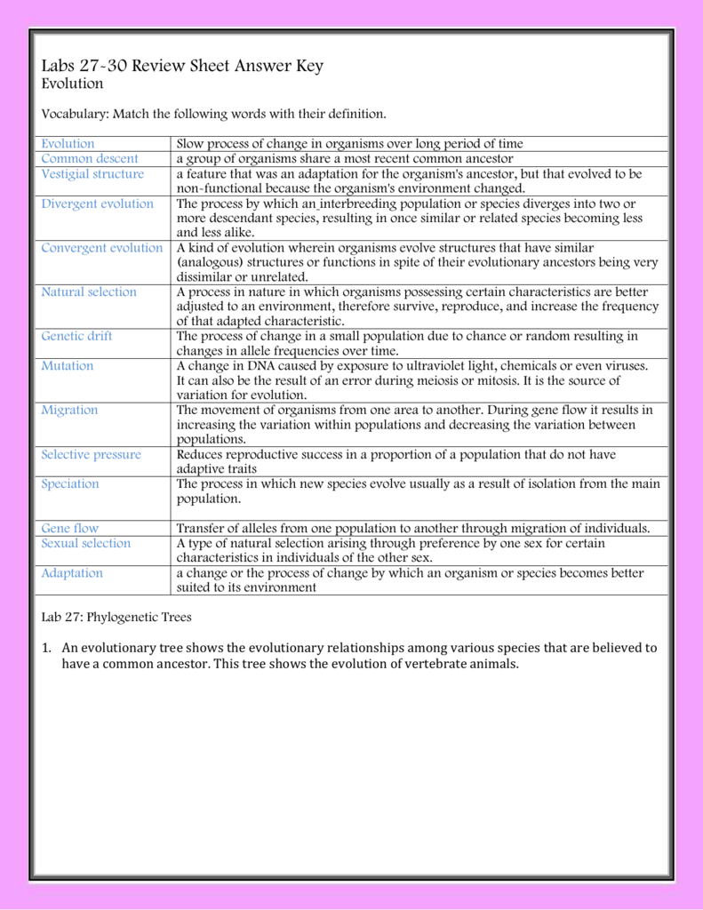 85 Speciation Worksheets Answer Key 41