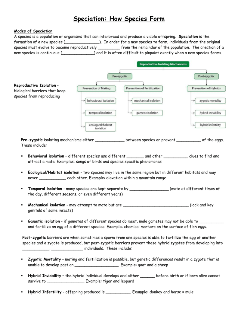 85 Speciation Worksheets Answer Key 55