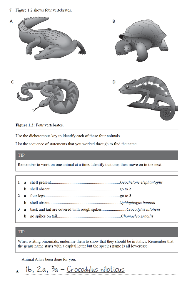 85 Speciation Worksheets Answer Key 64