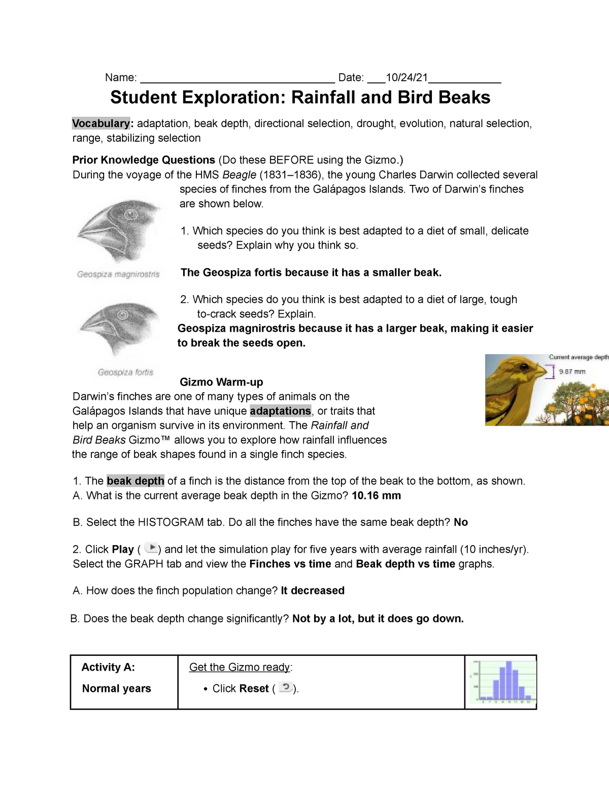 85 Speciation Worksheets Answer Key 67