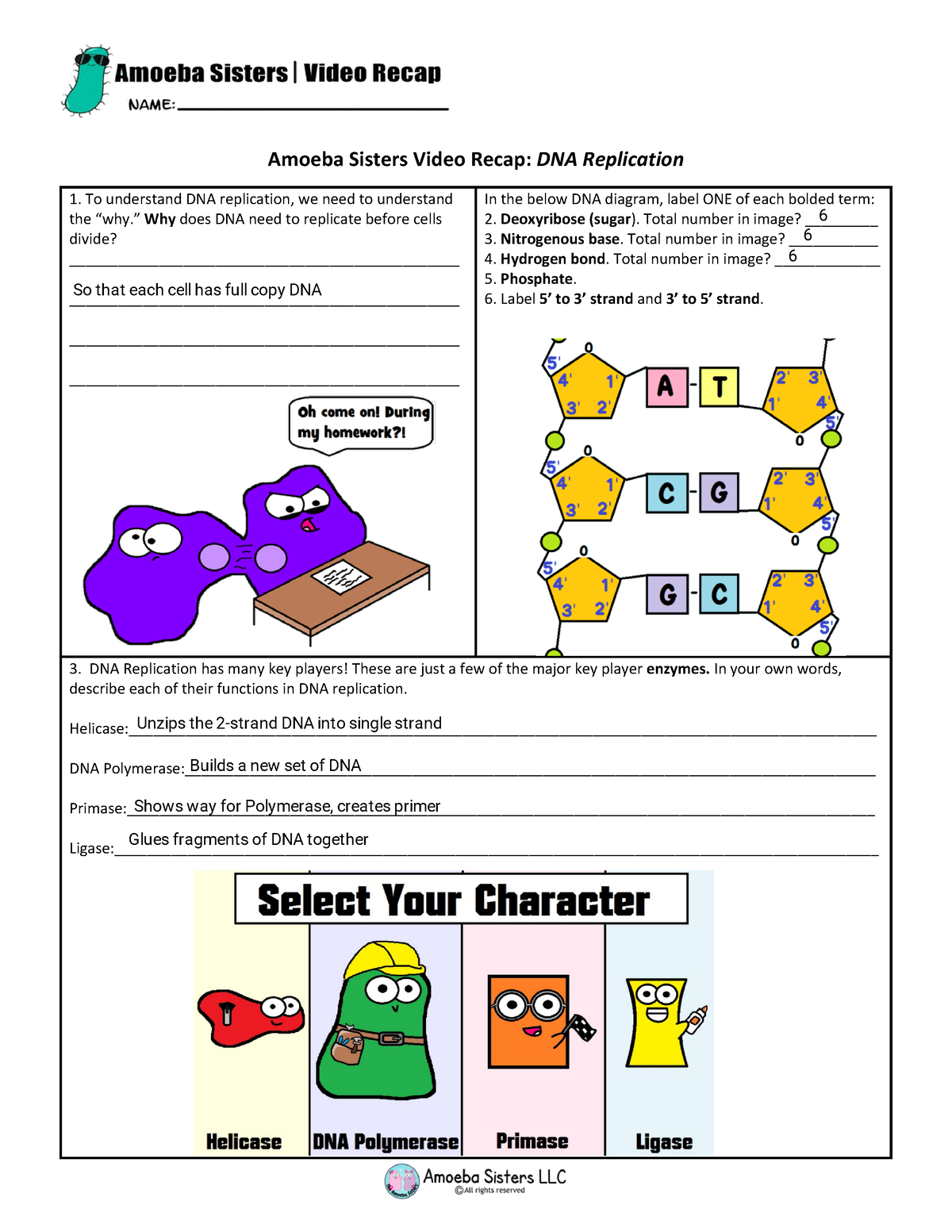 85 Speciation Worksheets Answer Key 7