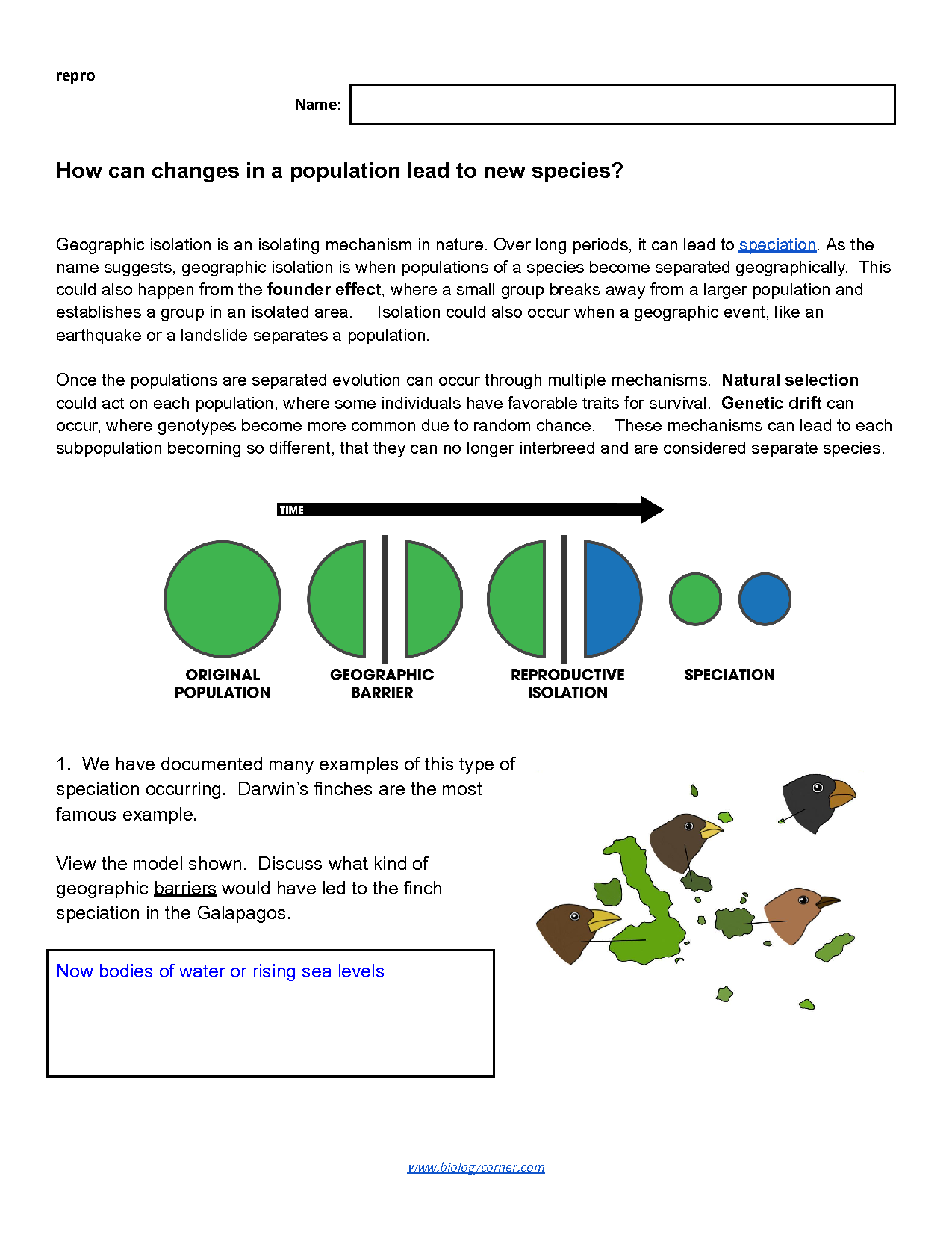 85 Speciation Worksheets Answer Key 70